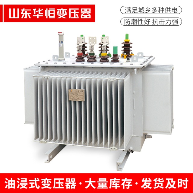 S13-10000/35静宁静宁静宁电力变压器